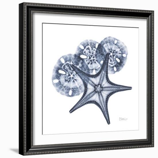 Indigo Starfish and Sand Dollar-Albert Koetsier-Framed Photo