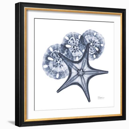 Indigo Starfish and Sand Dollar-Albert Koetsier-Framed Photo