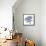Indigo Starfish and Sand Dollar-Albert Koetsier-Framed Stretched Canvas displayed on a wall