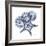 Indigo Starfish and Sand Dollar-Albert Koetsier-Framed Photographic Print