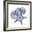 Indigo Starfish and Sand Dollar-Albert Koetsier-Framed Photographic Print