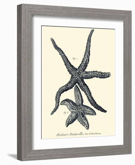 Indigo Starfish I-Denis Diderot-Framed Art Print