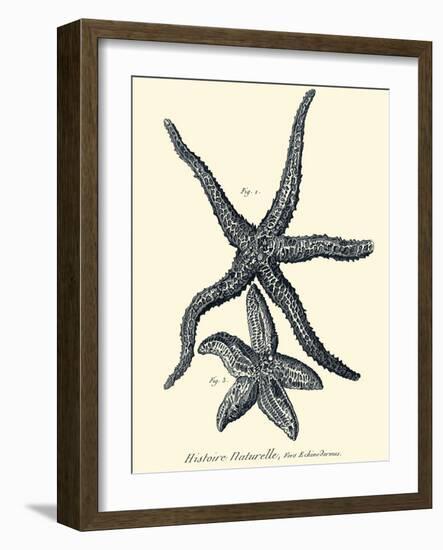 Indigo Starfish I-Denis Diderot-Framed Art Print