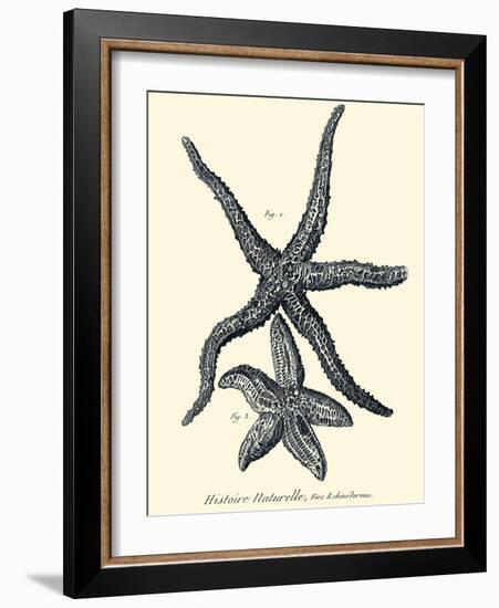 Indigo Starfish I-Denis Diderot-Framed Art Print