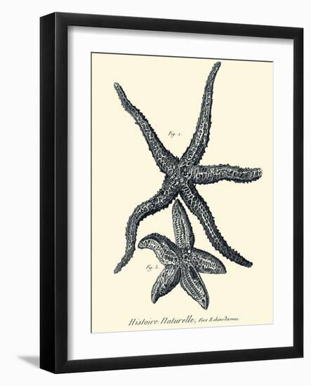 Indigo Starfish I-Denis Diderot-Framed Art Print