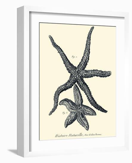 Indigo Starfish I-Denis Diderot-Framed Art Print