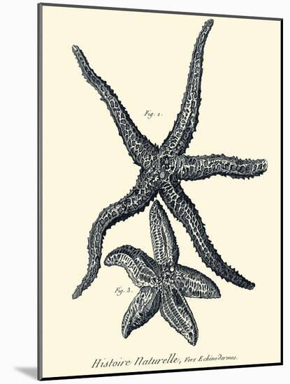 Indigo Starfish I-Denis Diderot-Mounted Art Print
