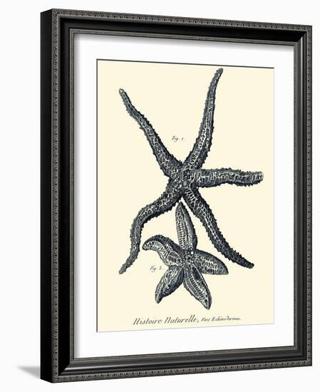 Indigo Starfish I-Denis Diderot-Framed Art Print