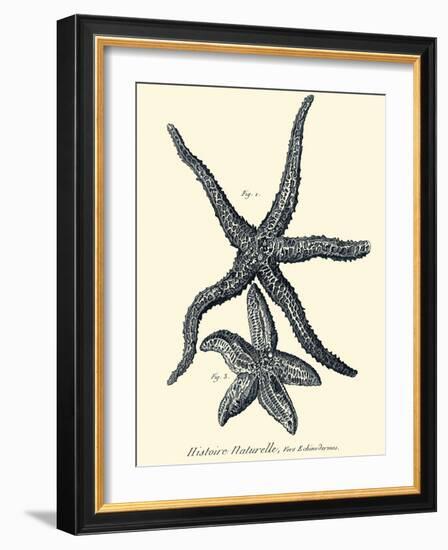 Indigo Starfish I-Denis Diderot-Framed Art Print