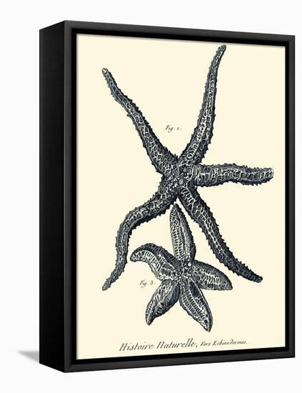 Indigo Starfish I-Denis Diderot-Framed Stretched Canvas