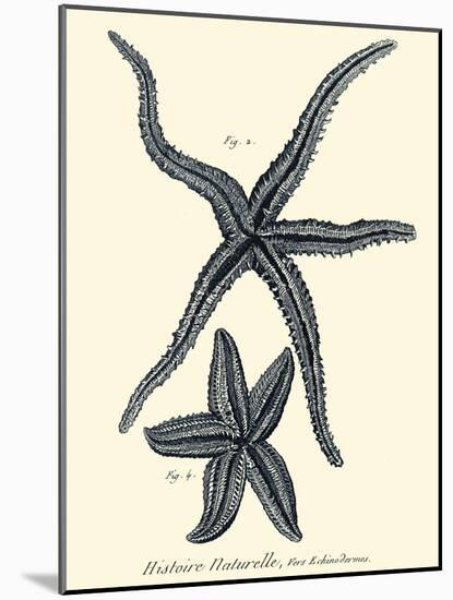 Indigo Starfish II-Denis Diderot-Mounted Art Print