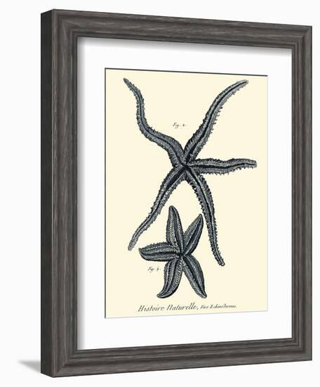 Indigo Starfish II-Denis Diderot-Framed Art Print