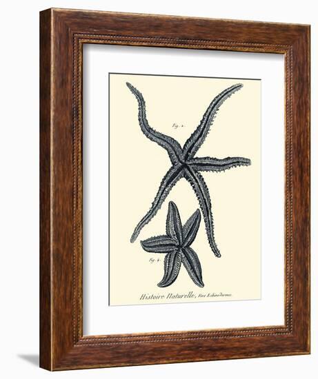 Indigo Starfish II-Denis Diderot-Framed Art Print