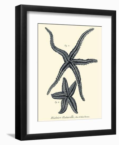 Indigo Starfish II-Denis Diderot-Framed Art Print