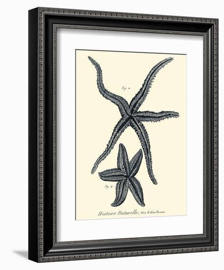 Indigo Starfish II-Denis Diderot-Framed Art Print