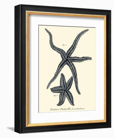 Indigo Starfish II-Denis Diderot-Framed Art Print