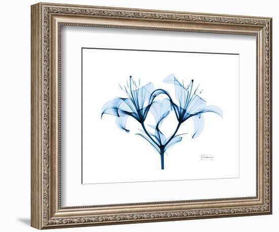 Indigo Starflame Lily-Albert Koetsier-Framed Premium Giclee Print