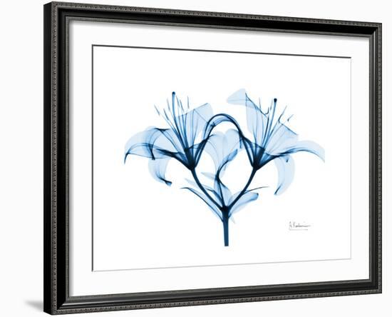 Indigo Starflame Lily-Albert Koetsier-Framed Premium Giclee Print