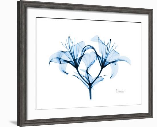 Indigo Starflame Lily-Albert Koetsier-Framed Premium Giclee Print