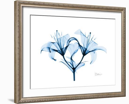 Indigo Starflame Lily-Albert Koetsier-Framed Premium Giclee Print