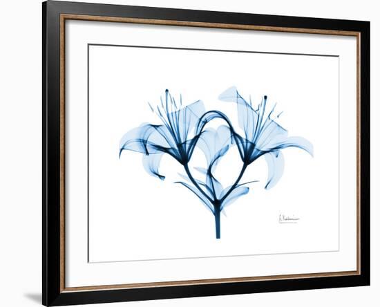 Indigo Starflame Lily-Albert Koetsier-Framed Premium Giclee Print