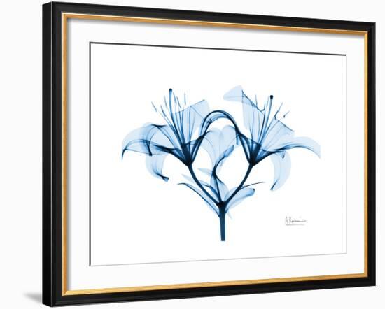 Indigo Starflame Lily-Albert Koetsier-Framed Premium Giclee Print