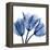 Indigo Stunning Tulips-Albert Koetsier-Framed Stretched Canvas