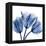 Indigo Stunning Tulips-Albert Koetsier-Framed Stretched Canvas