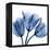 Indigo Stunning Tulips-Albert Koetsier-Framed Stretched Canvas