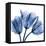 Indigo Stunning Tulips-Albert Koetsier-Framed Stretched Canvas