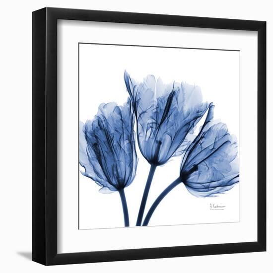 Indigo Stunning Tulips-Albert Koetsier-Framed Art Print