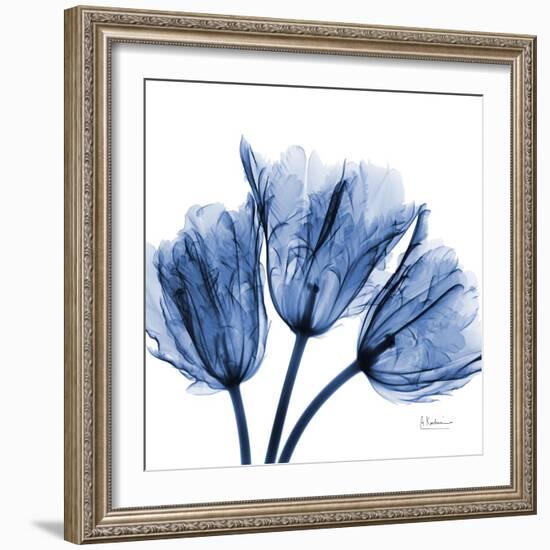 Indigo Stunning Tulips-Albert Koetsier-Framed Art Print