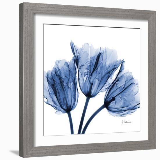 Indigo Stunning Tulips-Albert Koetsier-Framed Art Print