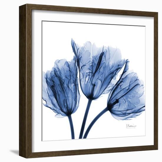 Indigo Stunning Tulips-Albert Koetsier-Framed Art Print