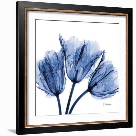 Indigo Stunning Tulips-Albert Koetsier-Framed Art Print