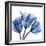 Indigo Stunning Tulips-Albert Koetsier-Framed Art Print