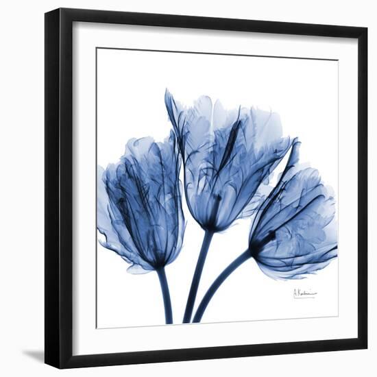 Indigo Stunning Tulips-Albert Koetsier-Framed Art Print