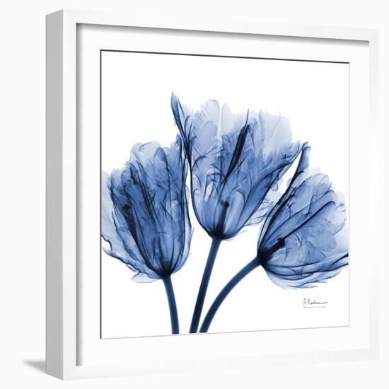 Indigo Stunning Tulips-Albert Koetsier-Framed Art Print