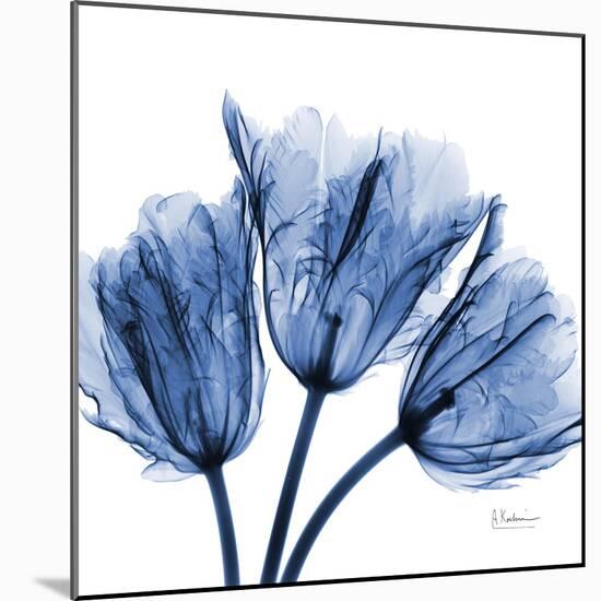 Indigo Stunning Tulips-Albert Koetsier-Mounted Art Print