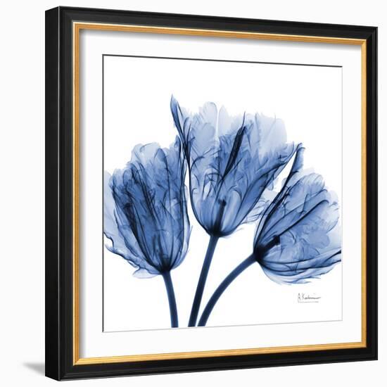 Indigo Stunning Tulips-Albert Koetsier-Framed Art Print