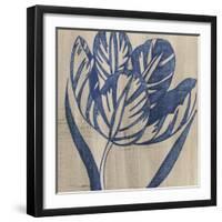 Indigo Tulip-Chariklia Zarris-Framed Art Print
