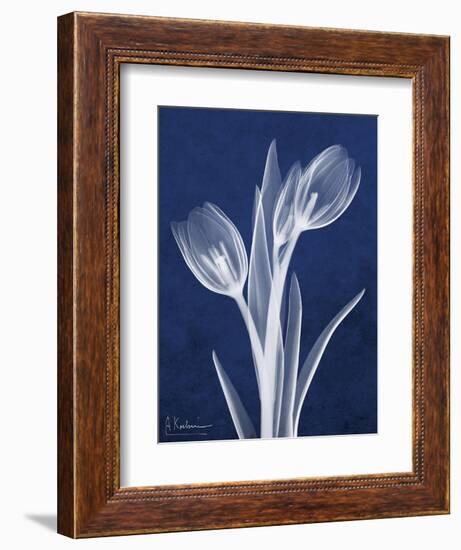 Indigo Tulips-Albert Koetsier-Framed Art Print