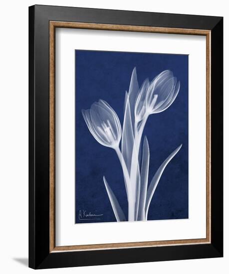 Indigo Tulips-Albert Koetsier-Framed Art Print