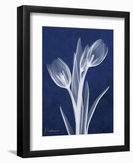 Indigo Tulips-Albert Koetsier-Framed Art Print