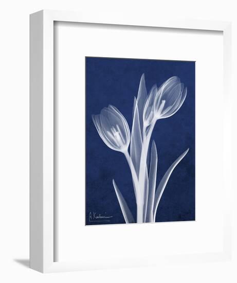 Indigo Tulips-Albert Koetsier-Framed Premium Giclee Print