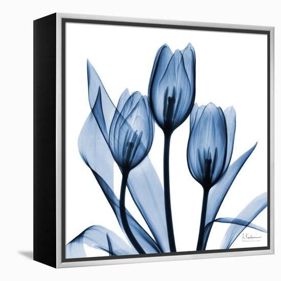 Indigo Tulips-Albert Koetsier-Framed Stretched Canvas