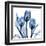 Indigo Tulips-Albert Koetsier-Framed Art Print