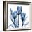 Indigo Tulips-Albert Koetsier-Framed Art Print