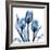 Indigo Tulips-Albert Koetsier-Framed Art Print