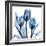 Indigo Tulips-Albert Koetsier-Framed Art Print